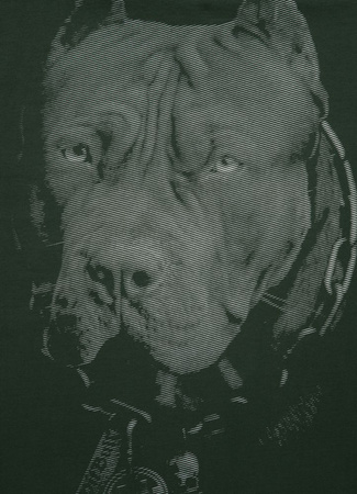 Koszulka Pit Bull BORN IN 1899 Grassy Green
