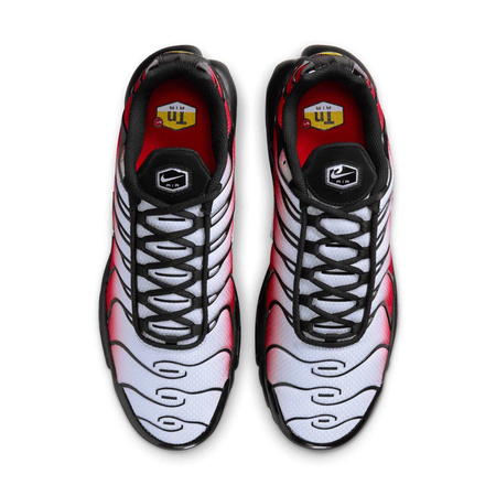 Buty Nike Air Max Plus (DM0032-017) Pure Platinum/White