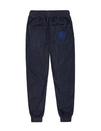 Spodnie DIIL JOGGER POCKET MEDIUM DSP262