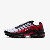 Buty Nike Air Max Plus (DM0032-017) Pure Platinum/White