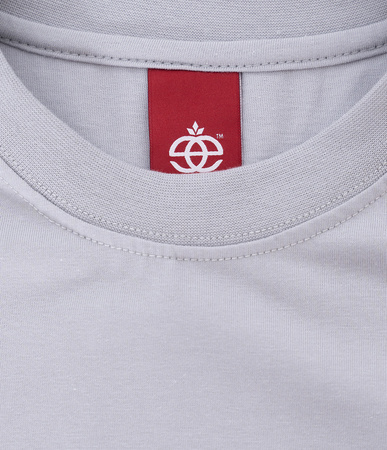 Koszulka Elade BOX LOGO 3D Light Grey