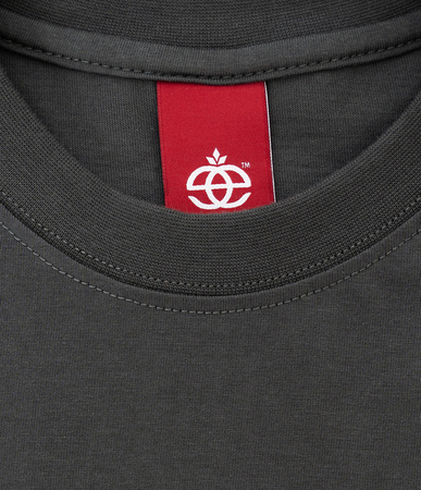 Koszulka Elade BOX LOGO 3D Dark Grey