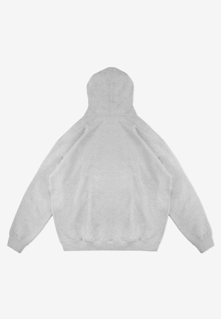 Bluza Prosto Hoodie Big Log Gray 