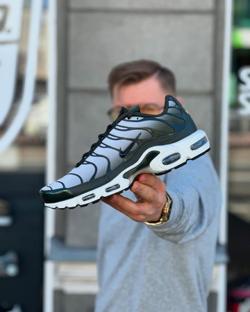 Buty Nike Air Max Plus (DM0032-300) Sequoia/Cargo Khaki/Light Bone/Black