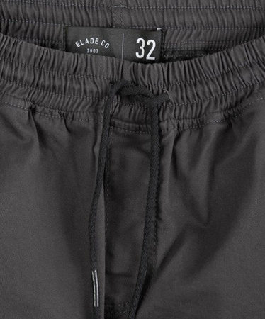 Szorty Elade Icon Graphite