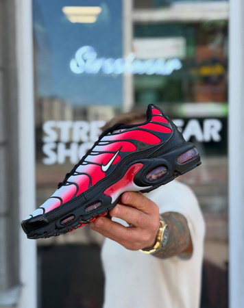 Buty Nike Air Max Plus (DM0032-017) Pure Platinum/White