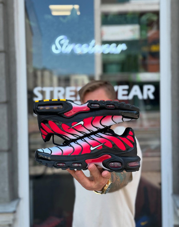 Buty Nike Air Max Plus (DM0032-017) Pure Platinum/White