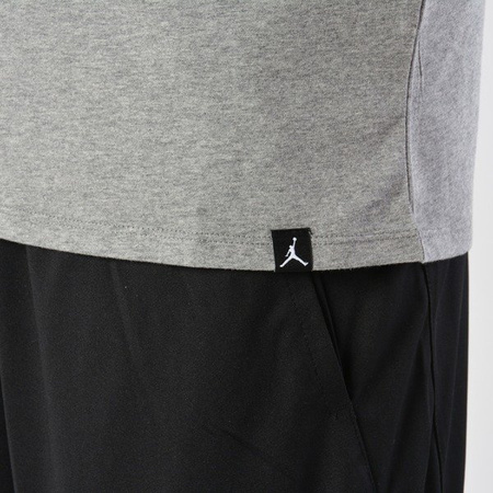 Koszulka Air Jordan Brand AJ10 GRAPHIC 1 (916038-091)