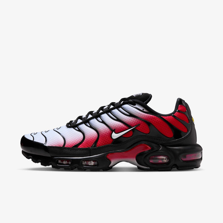 Buty Nike Air Max Plus (DM0032-017) Pure Platinum/White
