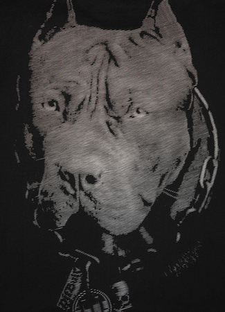 Koszulka Pit Bull BORN IN 1899 Black