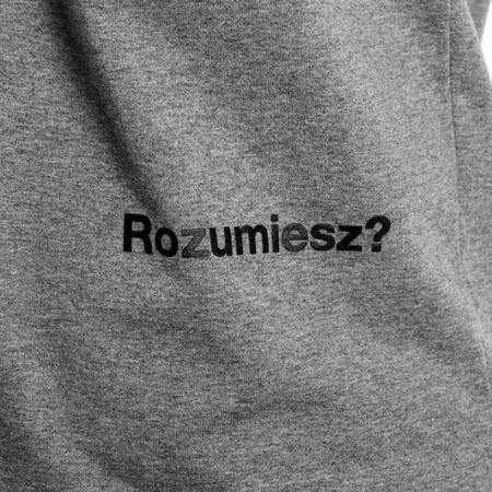 Koszulka Prosto PATRZ heather grey 