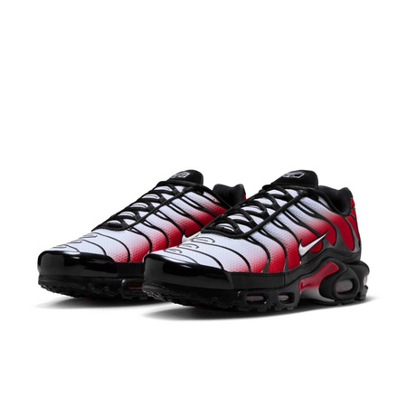 Buty Nike Air Max Plus (DM0032-017) Pure Platinum/White
