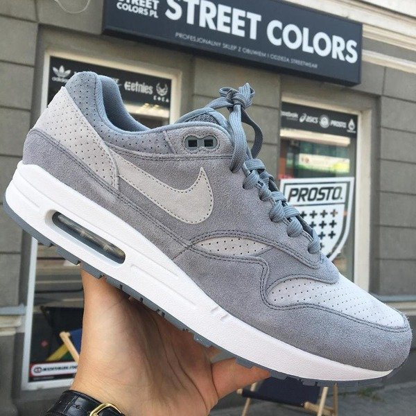 air max 1 cool grey wolf grey