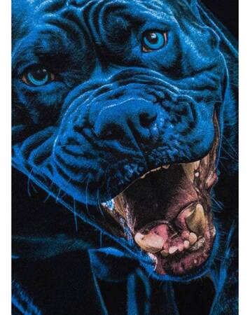 Bluza Pit Bull IN BLUE Black