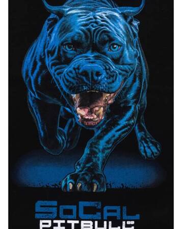 Bluza Pit Bull IN BLUE Black