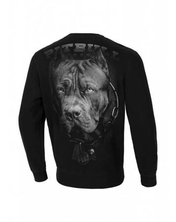 Bluza Pit Bull IN BORN Black