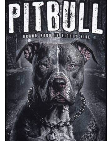 Bluza Pit Bull STREET KING Black