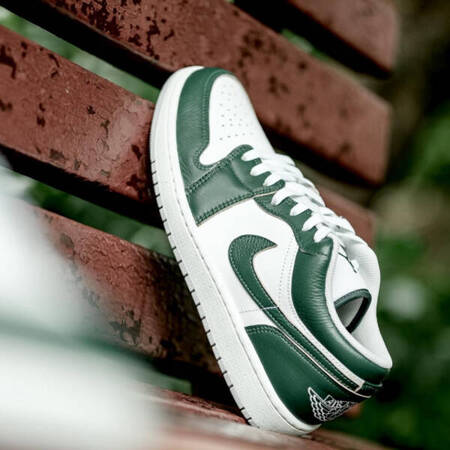 Buty Air Jordan 1 Low SE (FQ7687-300) Oxidized Green/Oxidized Green