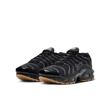 Buty Nike Air Max Plus (FV0377-001) Black/Smoke Grey