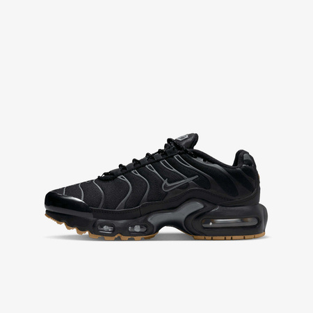 Buty Nike Air Max Plus (FV0377-001) Black/Smoke Grey