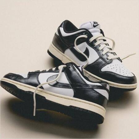 Buty Nike Dunk LOW PRM (FQ8899-100) White/Black/Coconut Milk