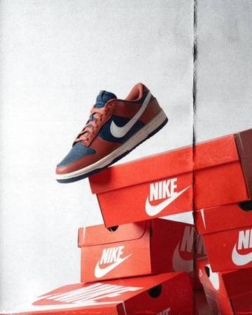 Buty Nike Dunk Low (DD1503-602) Canyon Rust/Summit White